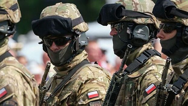 «Волынская резня 2.0»: комбриги ВСУ устроили геноцид польских наёмников под Харьковом