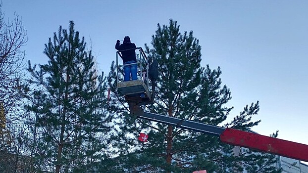 «Новогодний переполох» устроили жители 5-го микрорайона в Вологде