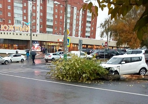 У пензенского ТЦ автоледи на иномарке снесла дерево