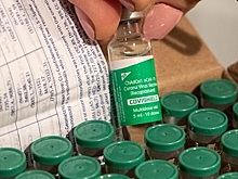 На Украине предложили увольнять врачей, отказавшихся от вакцинации Covishield