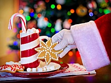 Любопытные факты о католическом Cочельнике