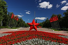 На городских клумбах Дзержинска высажено около 120 тысяч цветов