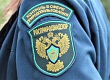 И.о начальника Росприроднадзора Омской области освобожден от должности