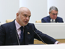 В Совфеде оценили прошедший саммит стран Европы по конфликту на Украине