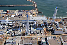 Глава японской партии отложил визит в Китай из-за "Фукусимы"