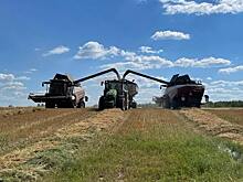 Уборочную кампанию 2022 ведут шесть районов Томской области