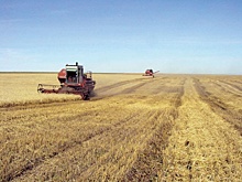 Фермеры Курганской области получат 76,7 миллиона из бюджета страны