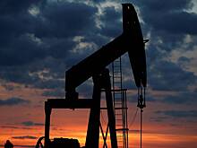 Комитет Европарламента рассмотрит запрет на импорт нефти и газа из России