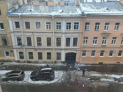 Рухнувший с крыши в Петербурге лед убил собаку