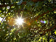 Сегодня в Ростове температура не превысит +23 &deg;C