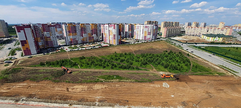 Тюменцы взбунтовались из-за вырубки деревьев в микрорайоне. Фото и