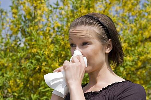 Как аллергикам избежать обострений в период цветения: 7 главных правил
