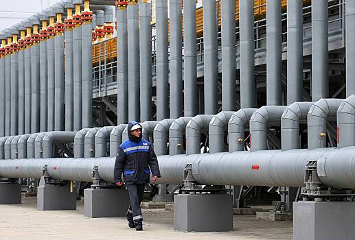 Перспективы поставок российского газа по «Турецкому потоку» оценили