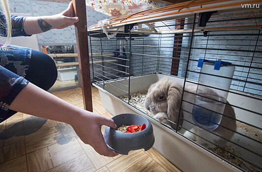 Семён ест обои