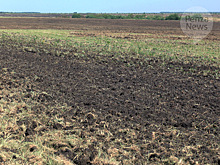 Обнародован обновленный проект отчета о кадастровой стоимости участков сельхозназначения