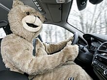 В Германии штрафуют за езду в карнавальных костюмах