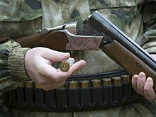 Сезон охоты на болотно-луговую дичь начался в Подмосковье