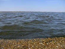 Дочь экс-мэра Волгограда путешествовала на Бали в день траура