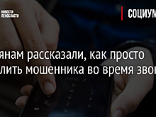 Россиянам рассказали, как просто вычислить мошенника во время звонка