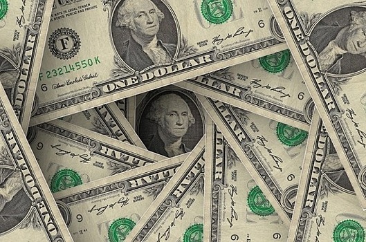 «Замкнутый круг» политики США уничтожает репутацию доллара, считает экономист