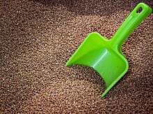 Белоруссия запретила продажу российской гречки