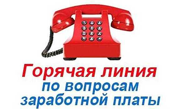 Более 7 тыс. консультаций провели специалисты горячей линии Роструда в марте