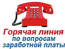 Более 7 тыс. консультаций провели специалисты горячей линии Роструда в марте