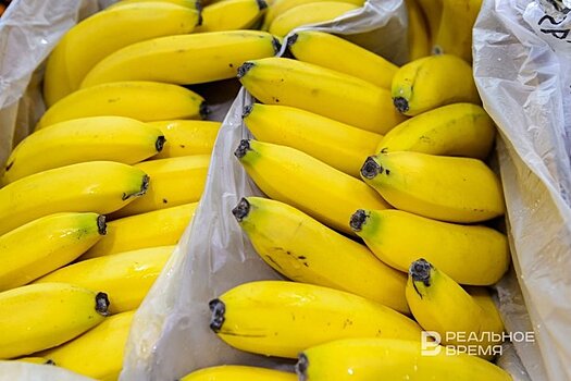 В России бананы могут появиться в списке сельхозпродукции