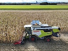 Эксперт оценил влияние пожаров на урожай зерна в России