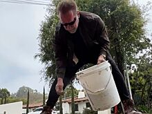 Видео: Арнольд Шварценеггер лично заделал дыру на дороге в Лос-Анджелесе