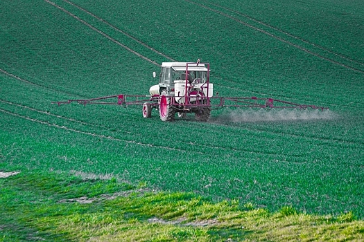 ГМО-скандал в Поволжье: агрохолдингом заинтересовалось ФСБ?