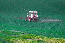 ГМО-скандал в Поволжье: агрохолдингом заинтересовалось ФСБ?