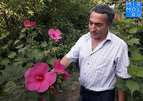 Дагестанский ученый из Магарамкентского района создал целый ботанический сад