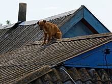 На Украине предрекли затопление Сум в течение трех дней