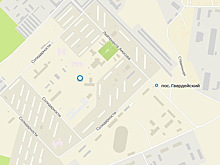 Автобусы пустили в новосибирский поселок Гвардейский