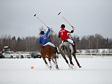 В «Московском Поло Клубе» пройдёт российско-французский турнир по поло на снегу