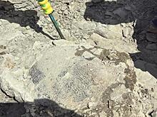 Школьник обнаружил окаменелость черепахи возрастом 48 млн лет