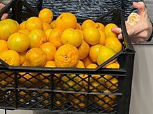Более полутора тонн мандаринов, завезенных в Кировскую область, оказались заражены