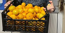 Апельсины с сюрпризом