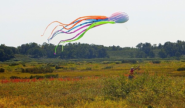 Ростуризм продвигает чартеры по России преимущественно одного туроператора