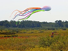 Ростуризм продвигает чартеры по России преимущественно одного туроператора