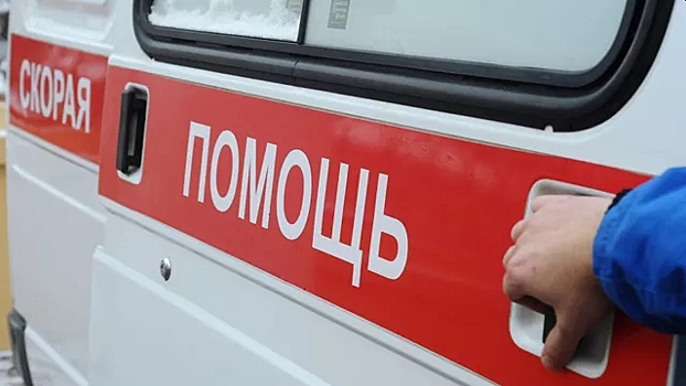 Директор КБП умер во время сеанса ксенотерапии в Москве