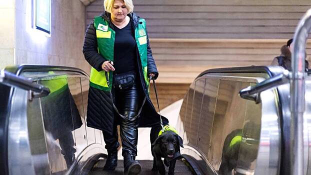 Еще 60 собак-проводников пройдут специальный курс обучения в метро