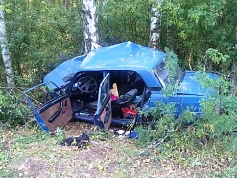 При столкновении машины с деревом в Путятинском районе погибли три рязанца