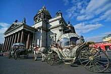 В Петербурге попробуют не гнать лошадей