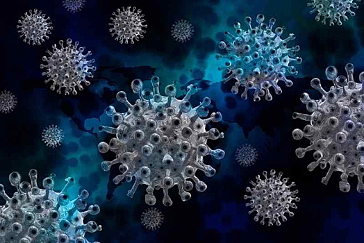 Эксперт: коронавирус может долго жить в фекалиях