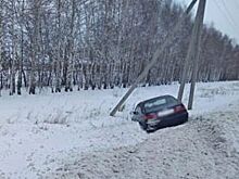 Под Тамбовом водитель иномарки погиб, врезавшись в столб