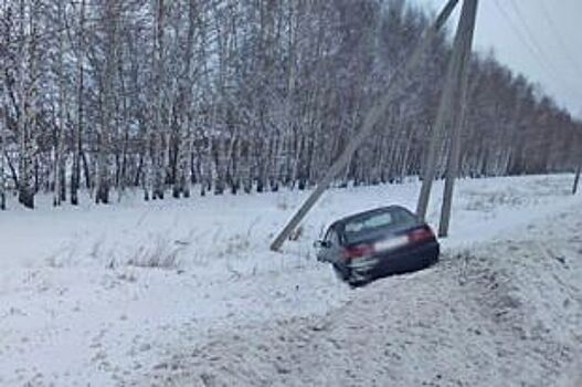 Под Тамбовом водитель иномарки погиб, врезавшись в столб