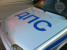 В Волгоградской области полицейские пришли на помощь водителю «ГАЗели» из Пензы