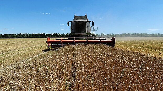 Кризис с Турцией грозит России потерей статуса крупнейшего экспортера пшеницы